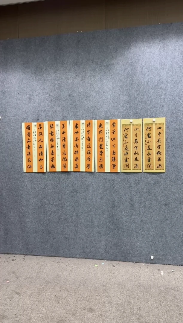 【闪购商品】书法pmw不二轩旗舰店书法ZDQ7