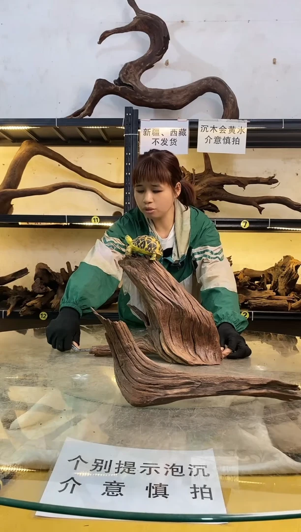 【闪购商品】柚木木艺鱼缸造景素材265