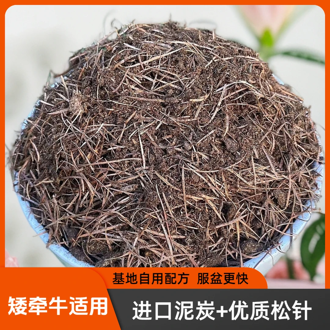 矮牵牛种植土自然发酵松针土进口泥炭花卉盆栽营养土通用型弱酸性