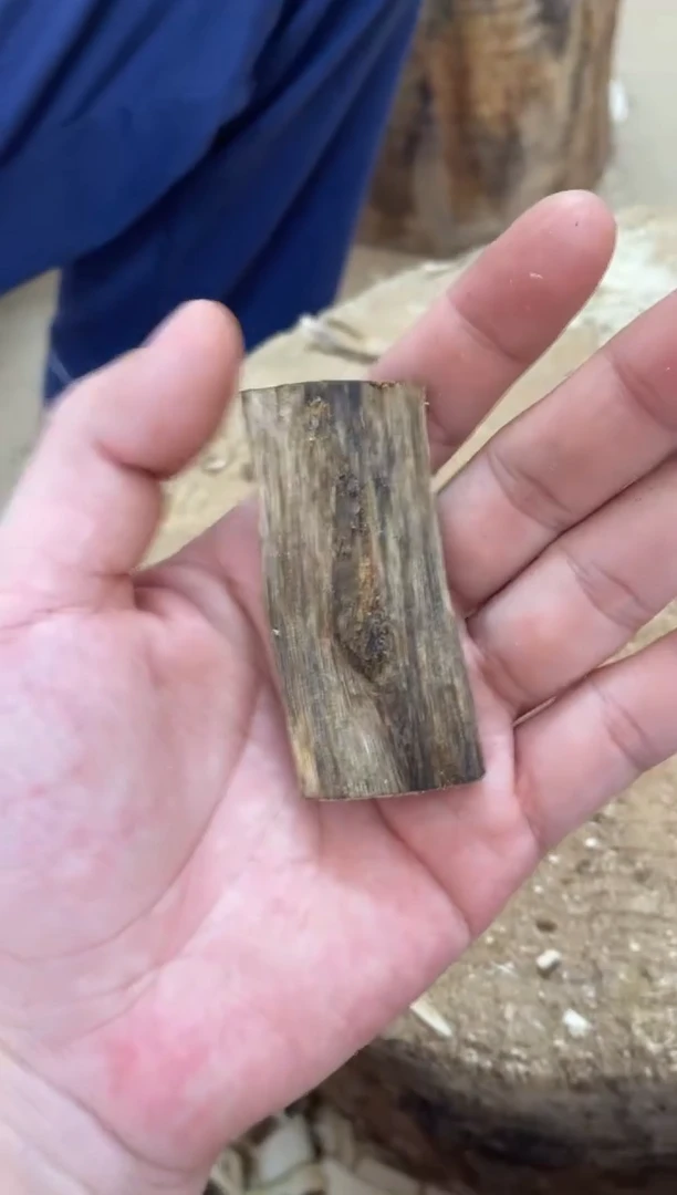 沉香沉香碎屑棋楠沉香 原料文创1