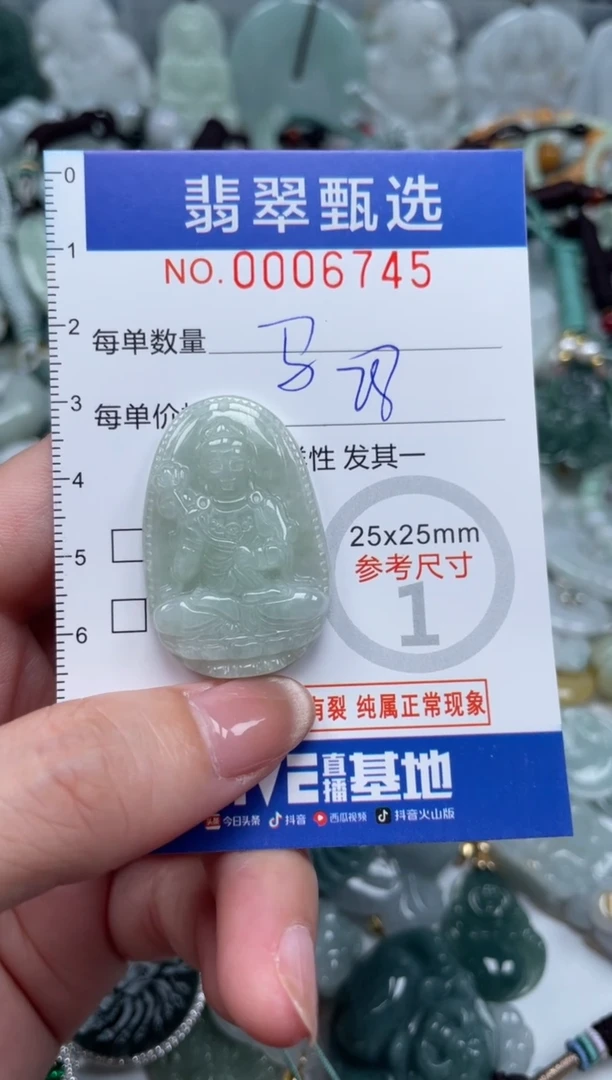 翡翠未镶嵌颈饰00..6745