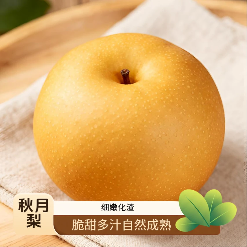 山东秋月梨新鲜现摘脆甜多汁当季水果中秋礼盒
