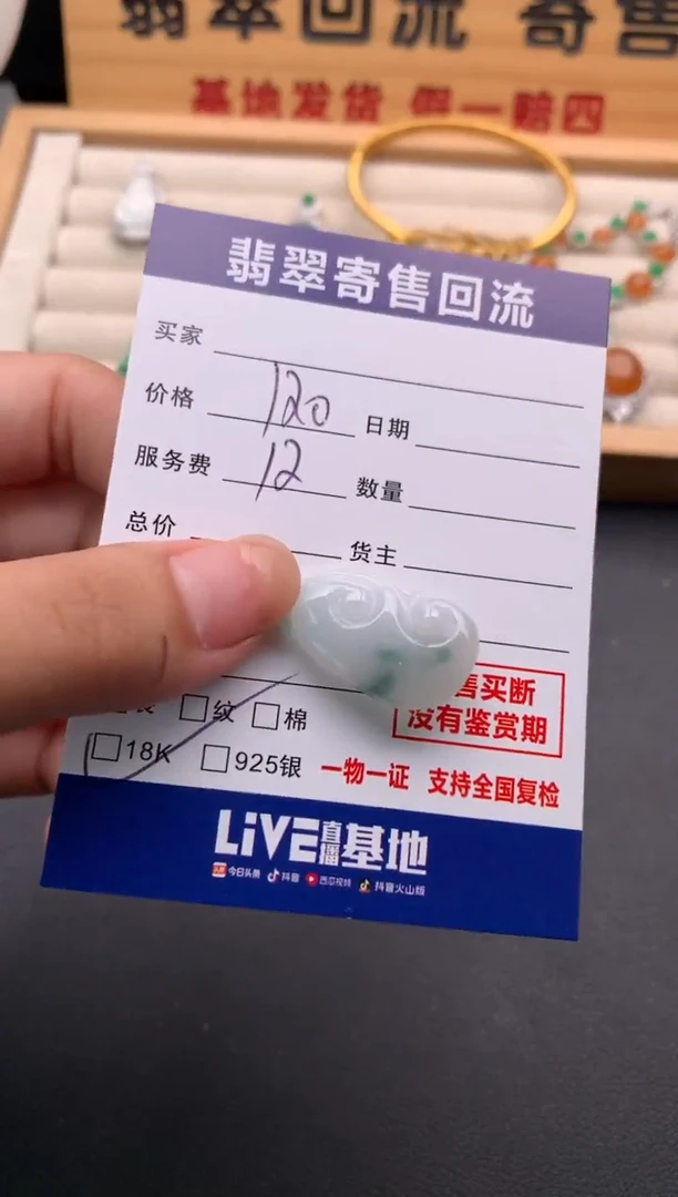 翡翠18K金镶嵌颈饰10136226