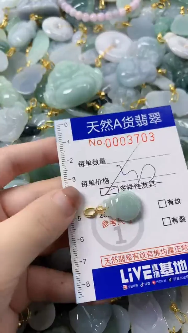 颈饰未镶嵌翡翠天然A货翡翠