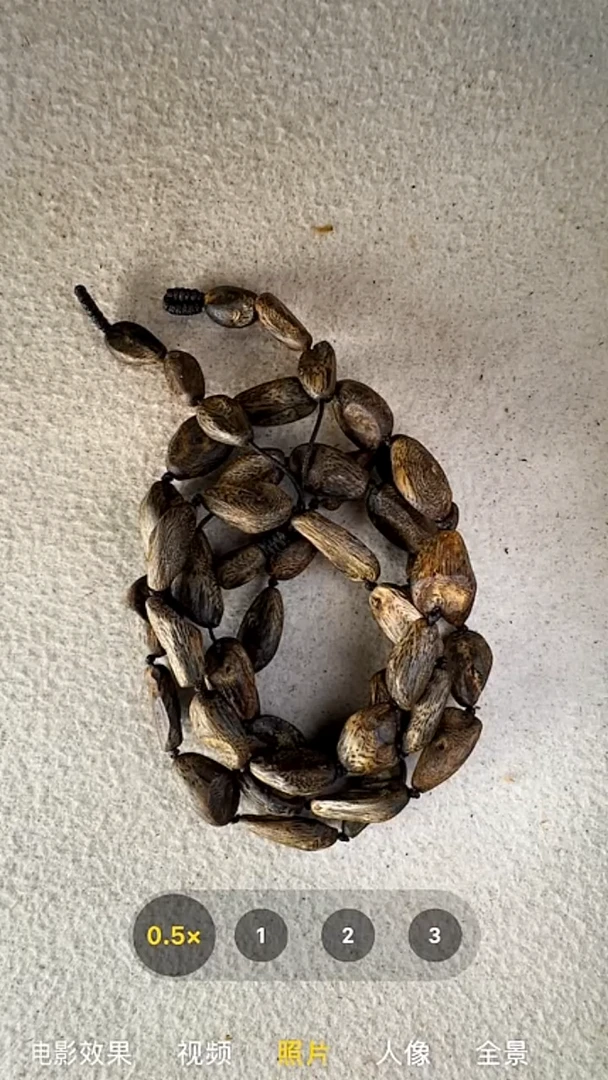 沉香手串奇楠树丁多圈手串（多样性发货）71