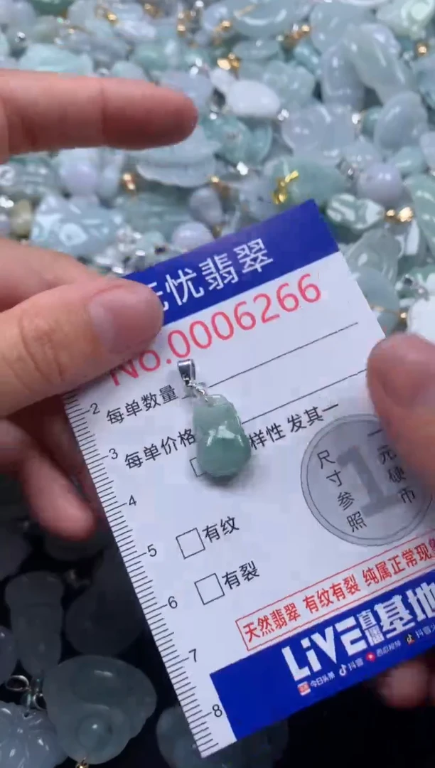 颈饰未镶嵌翡翠6266
