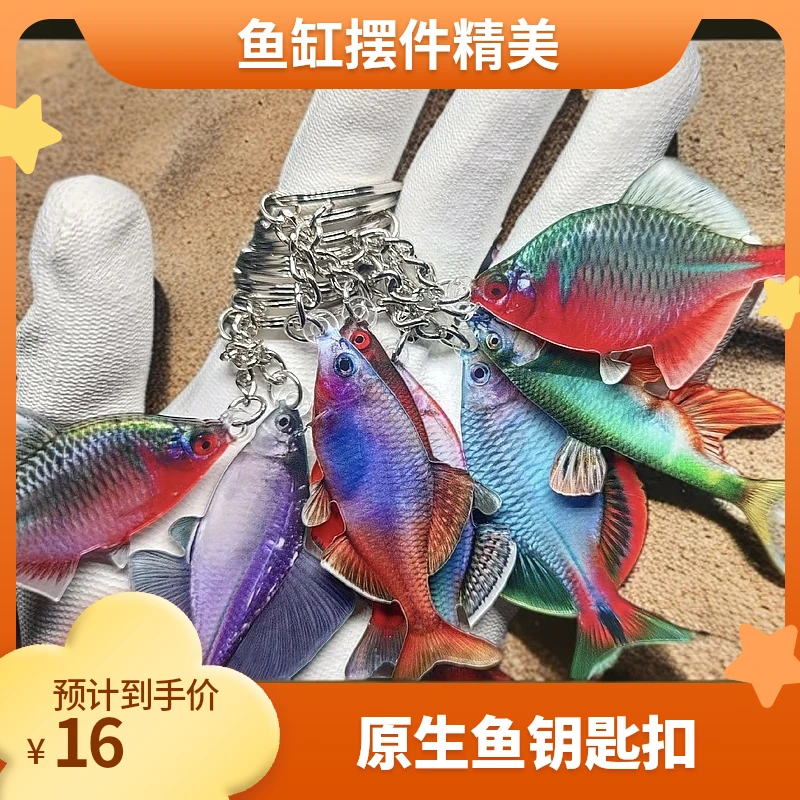 原生鱼钥匙扣，鱼缸摆件