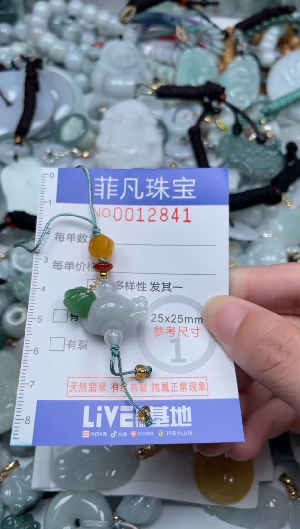 颈饰未镶嵌翡翠12841