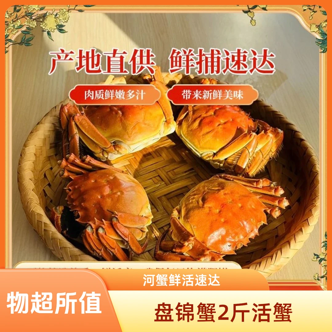 【活蟹】盘锦稻田蟹 盘锦河蟹 母蟹净重2斤(1.6-1.3两)鲜活到家 (15-13只)盘锦稻田蟹[顺丰包邮·明达日]