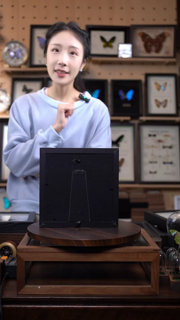 蝴蝶翅膀蝶翅画竞拍e27