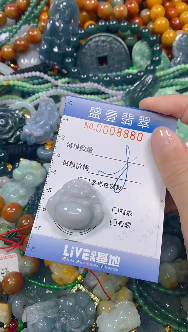 颈饰未镶嵌翡翠闪购0008880