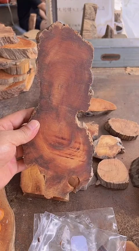 柏木（崖柏）安****）057崖柏雷击