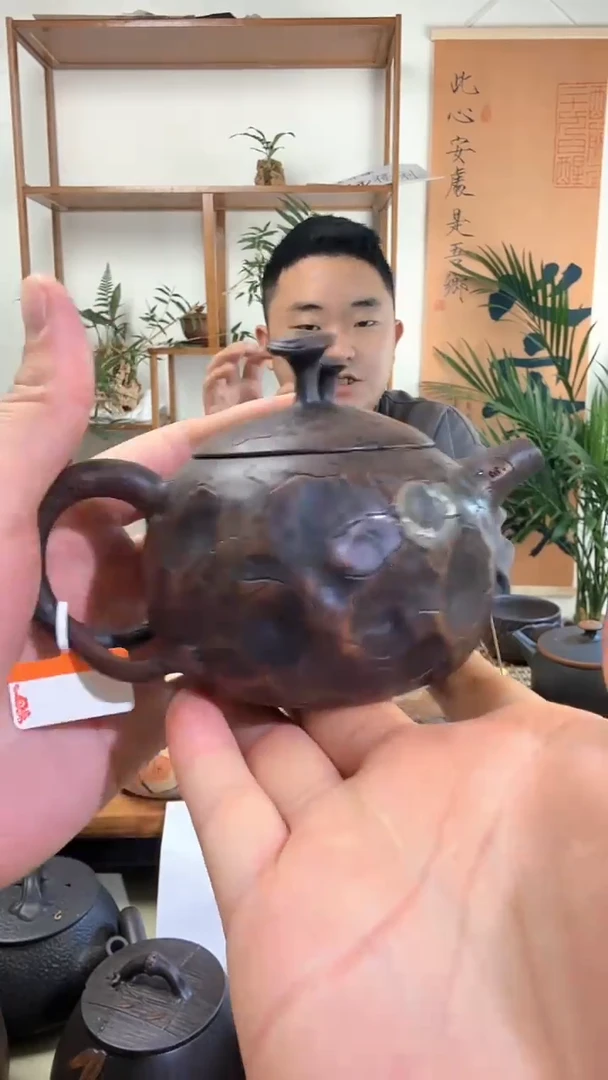 【闪购商品】建水紫陶 非遗纯手工 灵芝壶