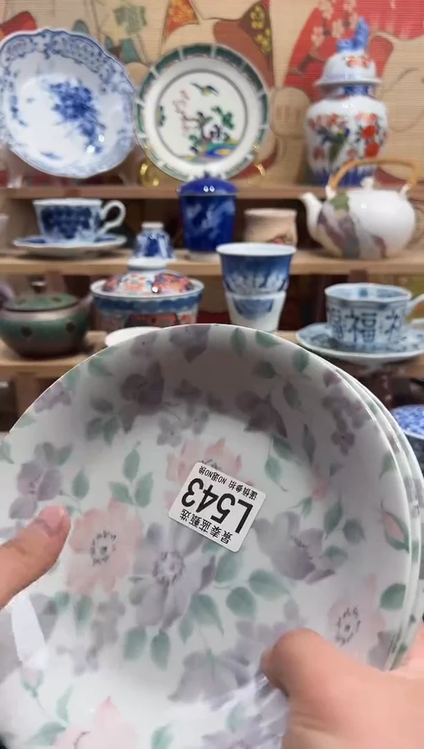 瓷片          L543