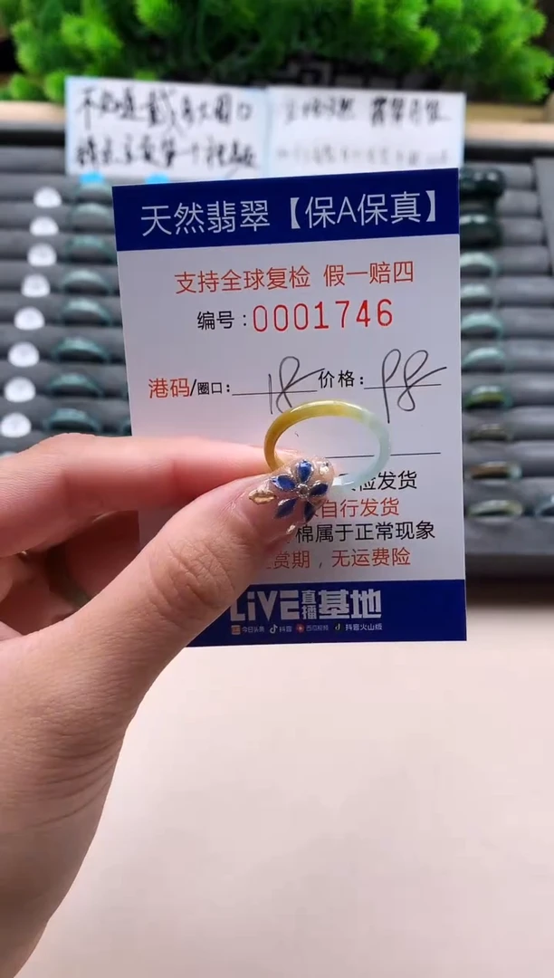 未镶嵌戒指翡翠天然  1746