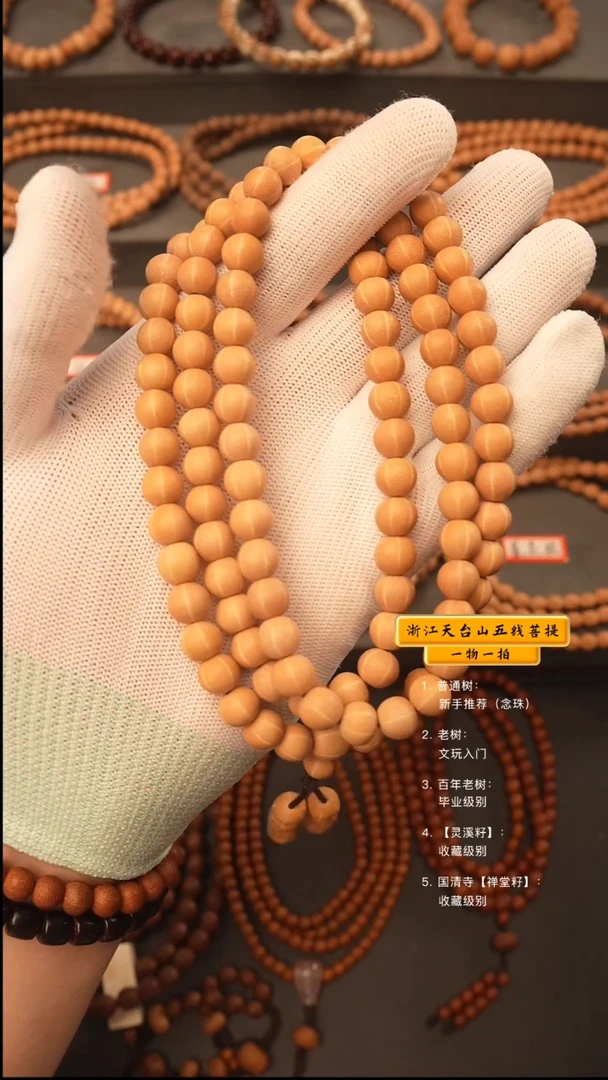 吊坠五线菩提?****越q脖挂