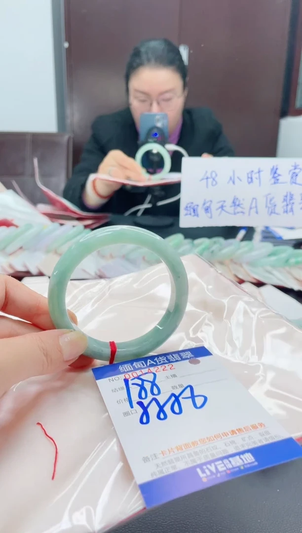 未镶嵌手镯翡翠我4