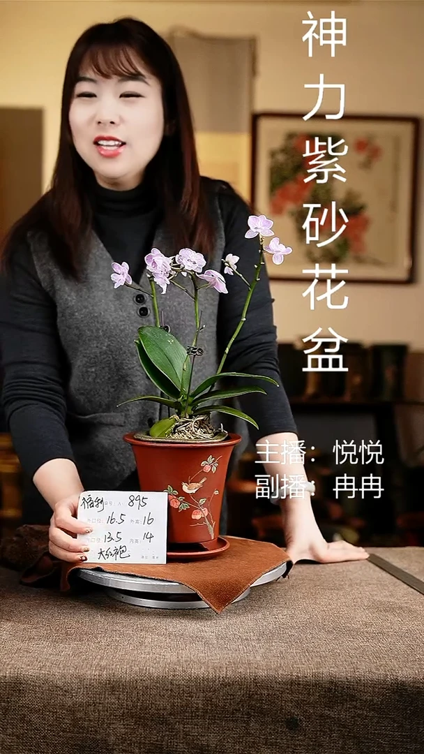 紫砂花盆花卉工艺895+z