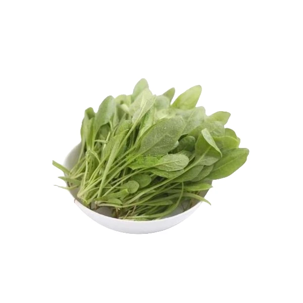 北京A级菠菜苗500g±20g