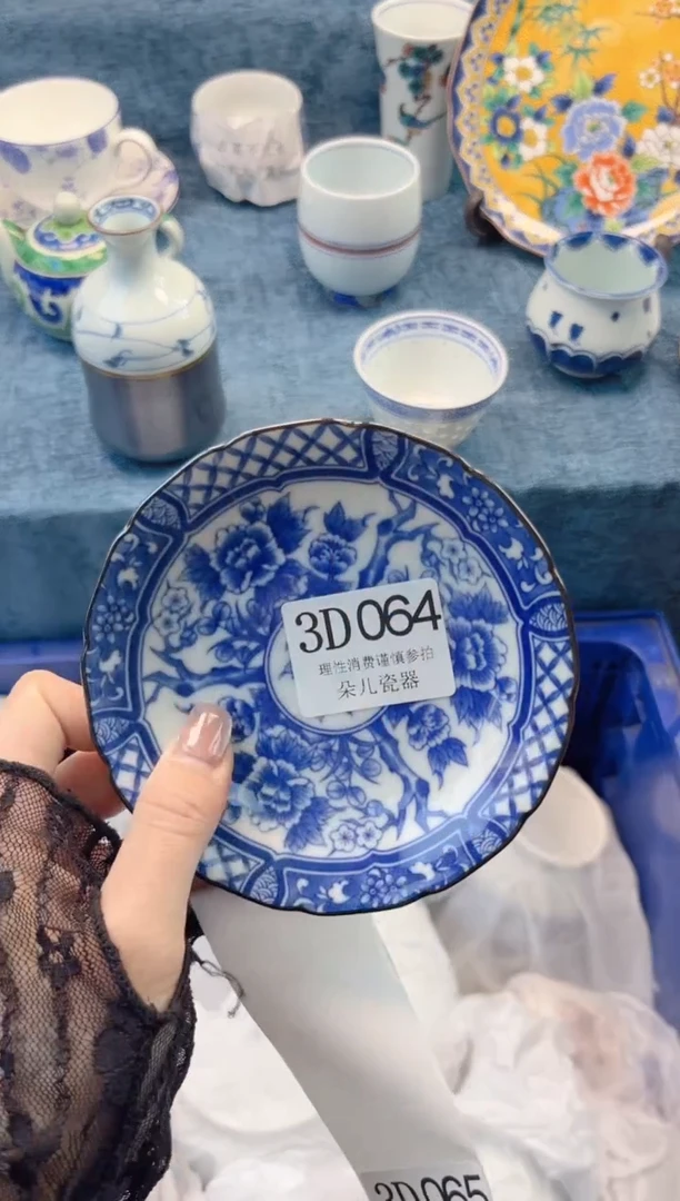 瓷片         3D064