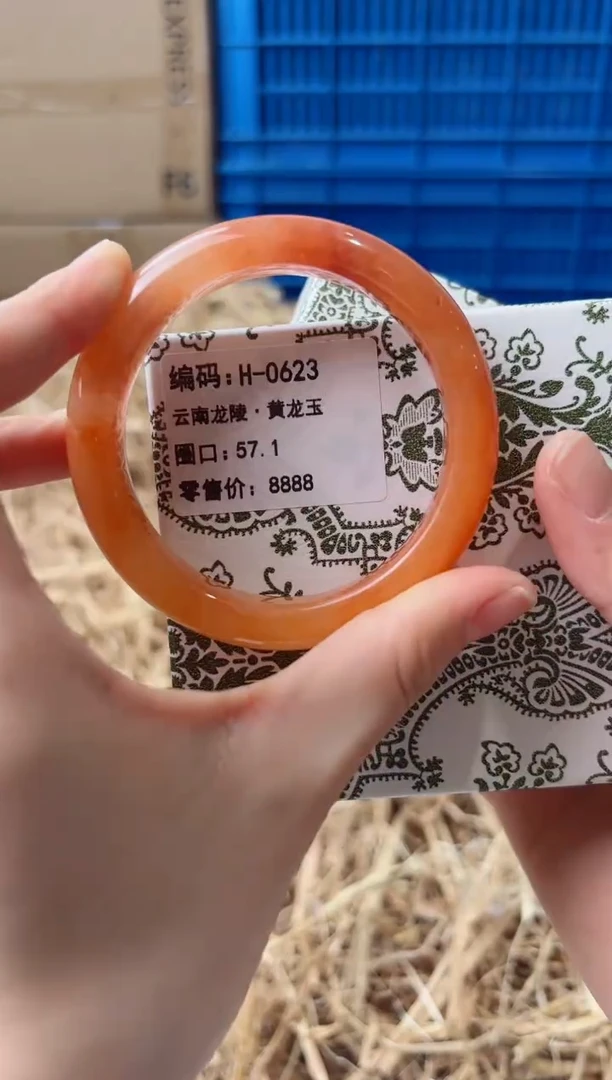 未镶嵌手镯石英质玉H-0623