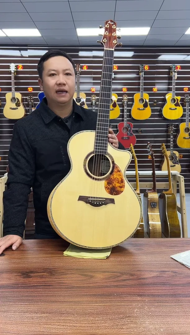 丽星全单+拾音器B2+皮箱