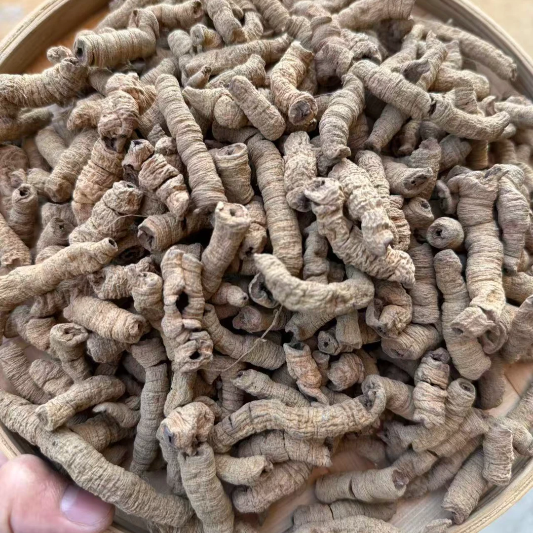 深山  抽芯巴戟  顺丰包邮