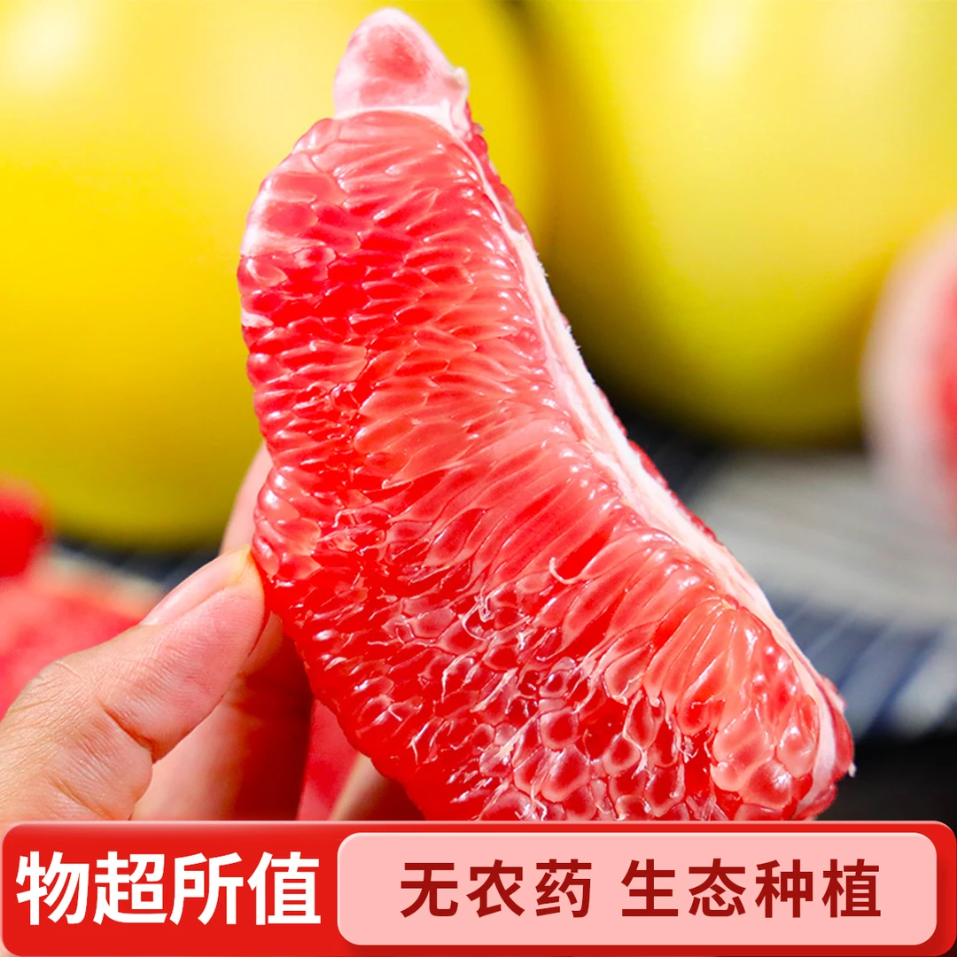 福建平和红肉蜜柚TD