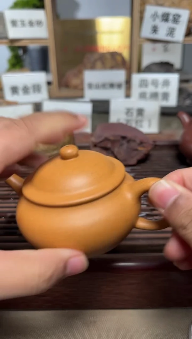 茶壶紫砂微瑕黄金段矮柿园
