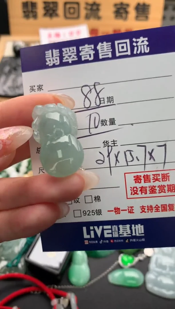 翡翠未镶嵌颈饰10134443