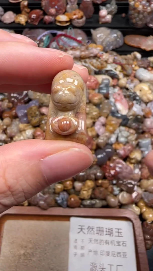 硅化珊瑚（珊瑚玉）未镶嵌颈饰407