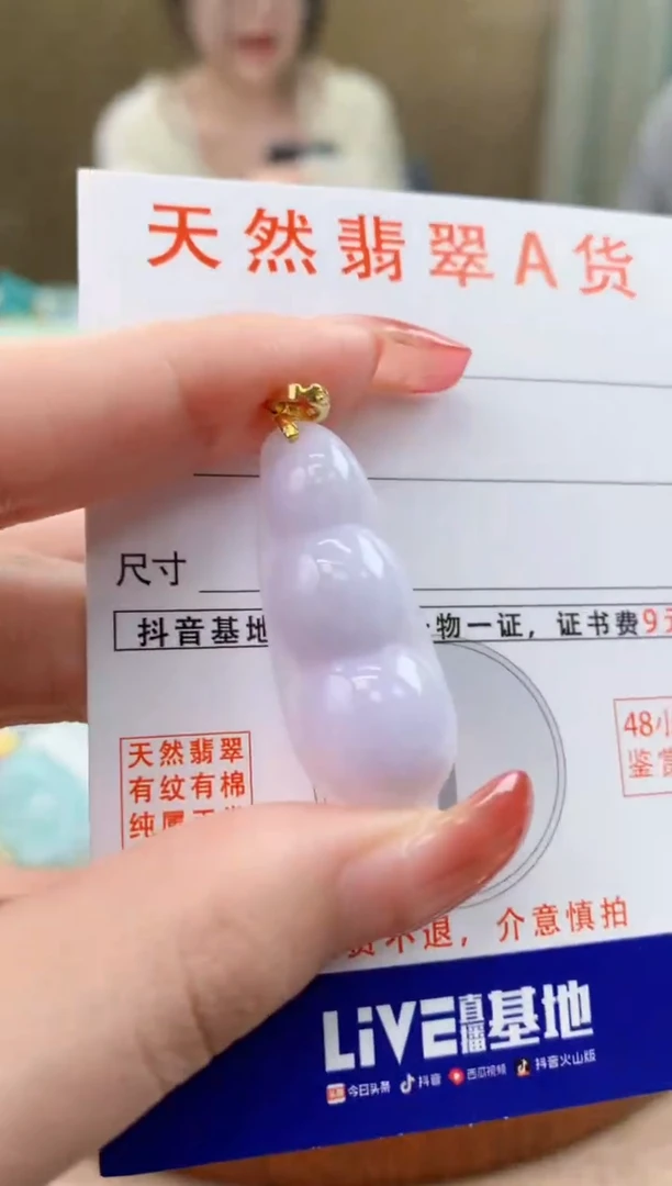 颈饰未镶嵌翡翠天然A货翡翠挂件