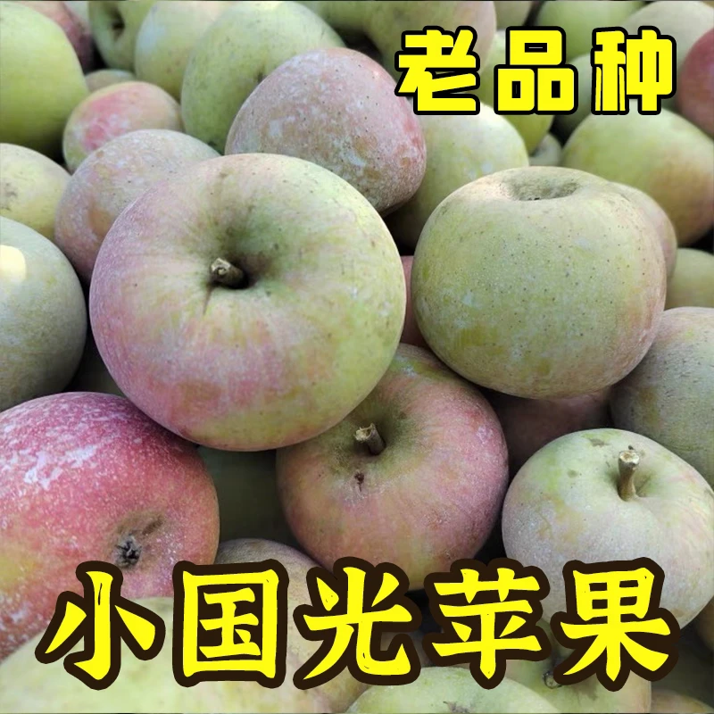 正宗山东老品种国光苹果酸甜可口新鲜水果小苹果妈妈