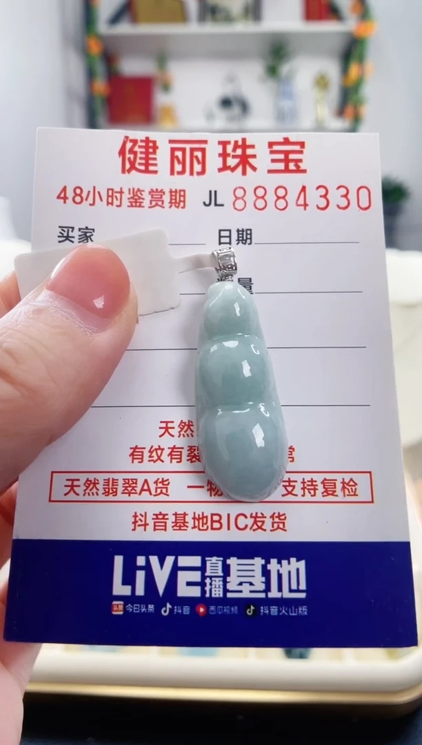 翡翠18K金镶嵌颈饰天然缅甸翡翠 富贵豆(一物一证)+银链