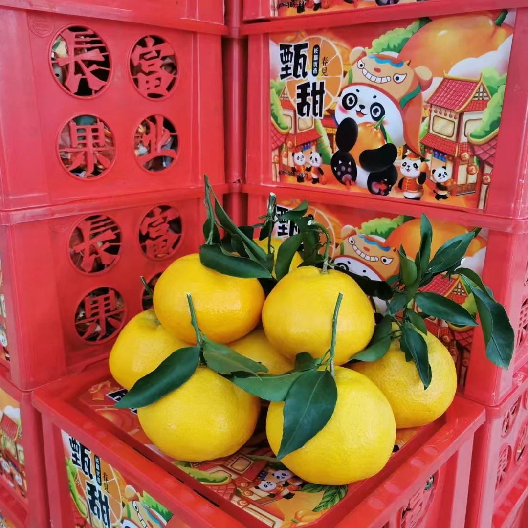 【原箱】【Z】【好吃的甄甜耙耙柑】（带箱6斤左右）仅太原六城区榆次可拍