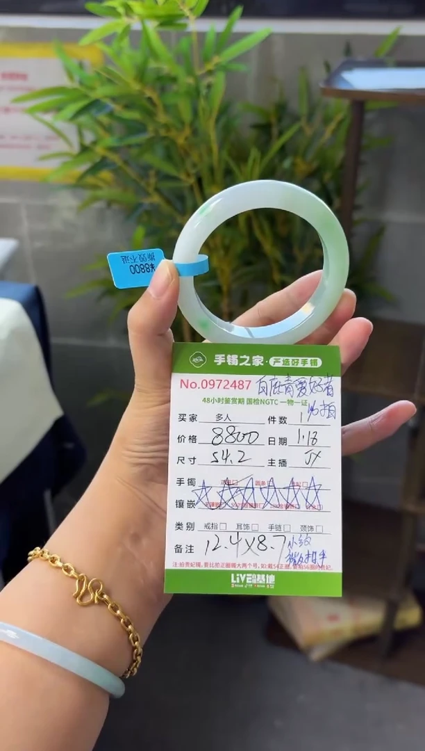 【闪购商品】翡翠手镯未镶嵌多人