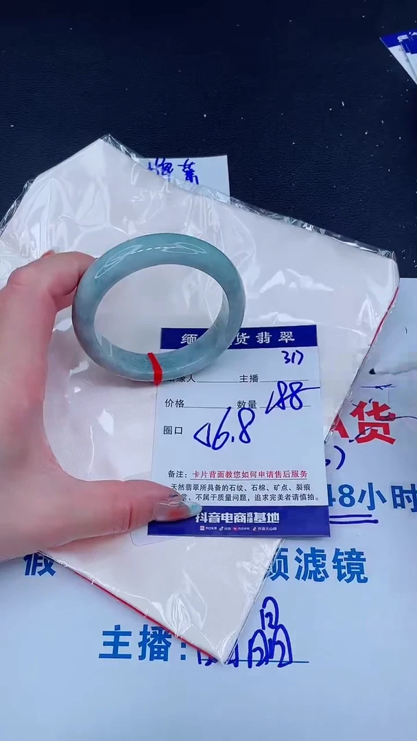 未镶嵌手镯翡翠1
