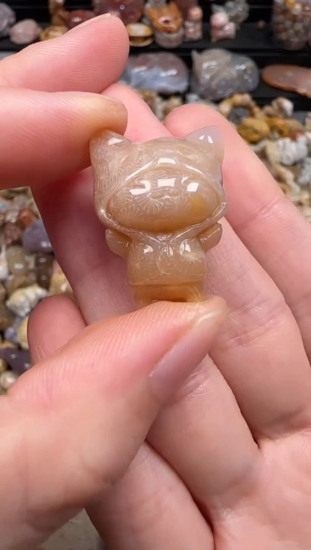 硅化珊瑚（珊瑚玉）未镶嵌颈饰294