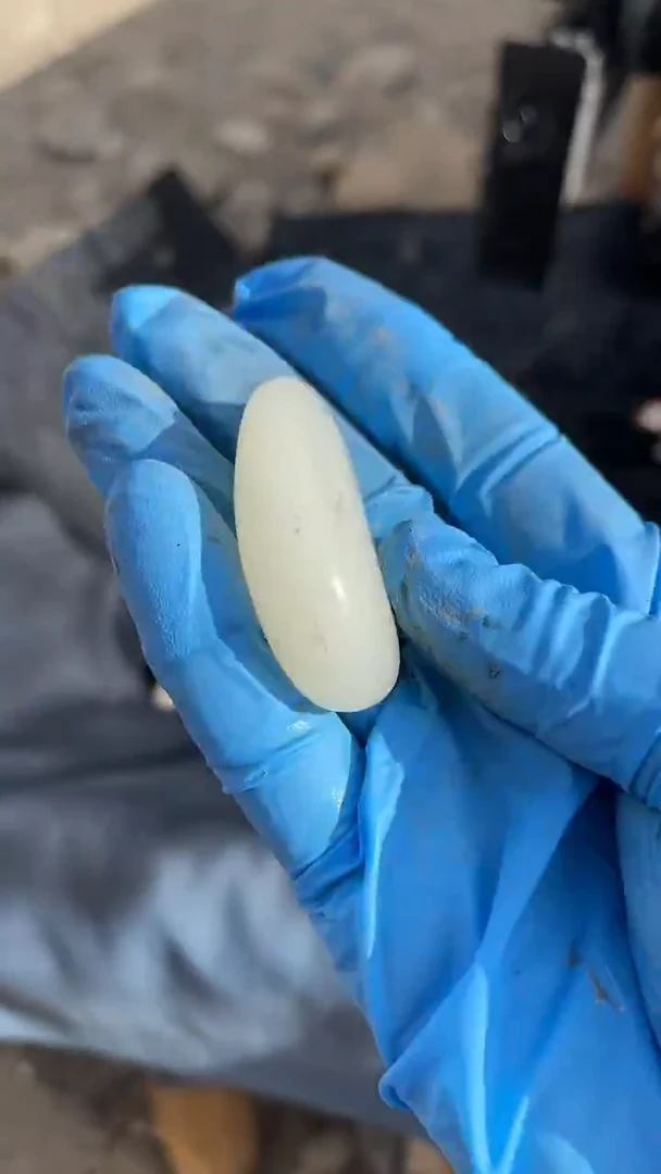 颈饰未镶嵌和田玉（糖玉）0014