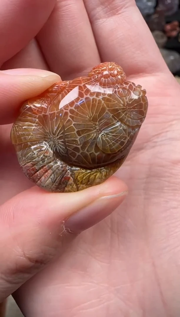 颈饰未镶嵌硅化珊瑚（珊瑚玉）121