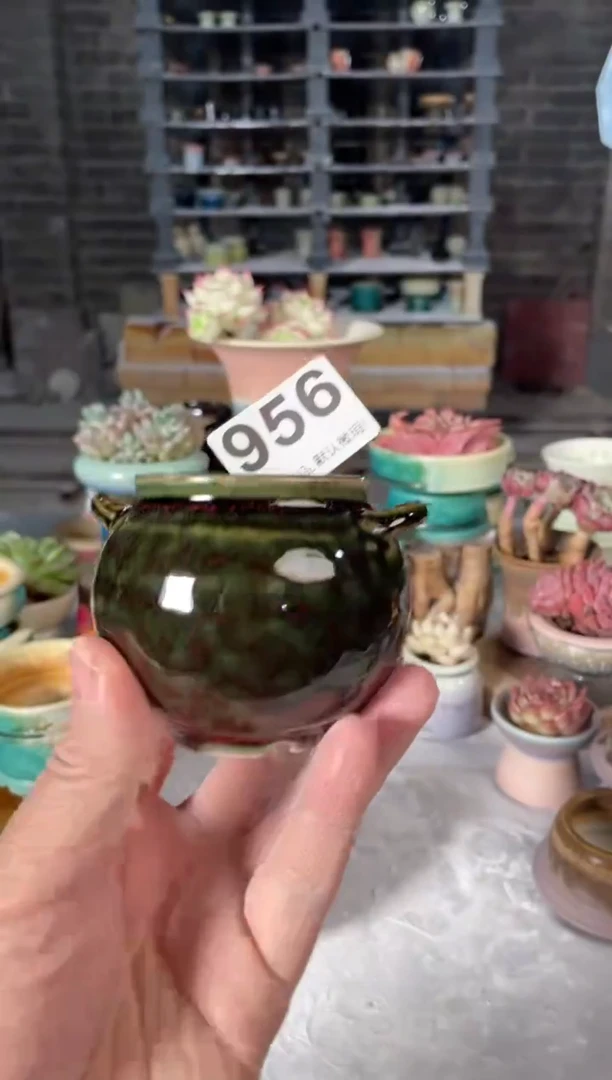 瓷片956小芳直播编号