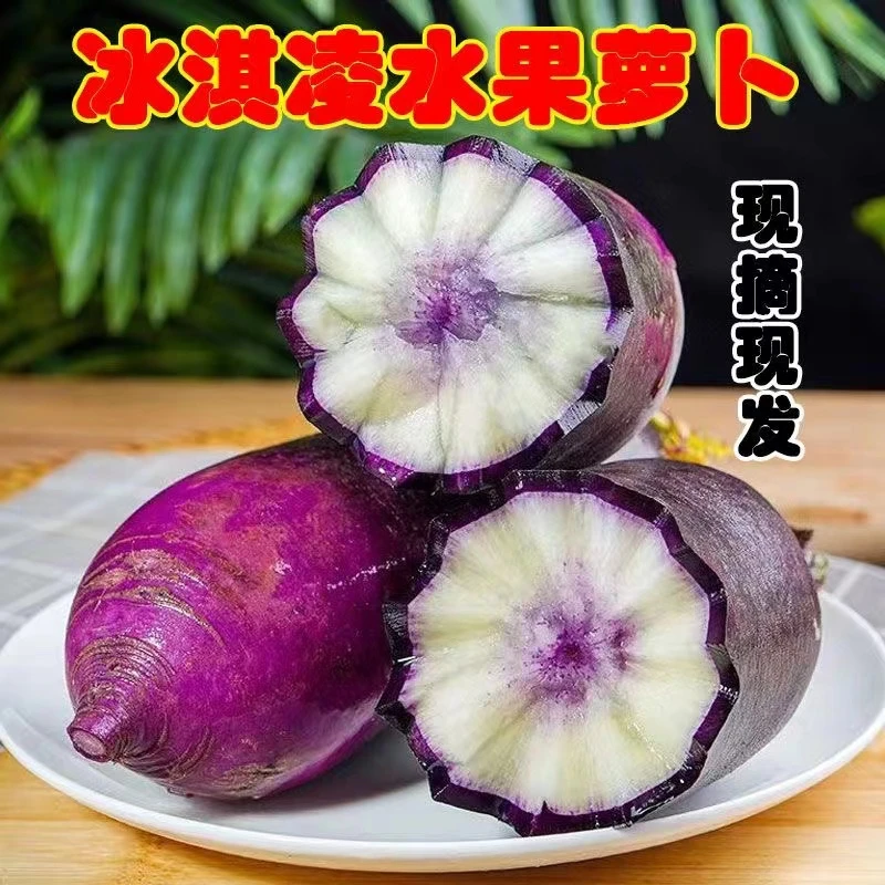 【现拔现发】潍坊水果萝卜冰激凌水果冰糖心萝卜脆甜沙窝萝卜