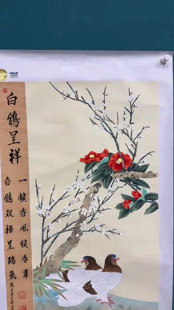 国画白鸽呈祥1111