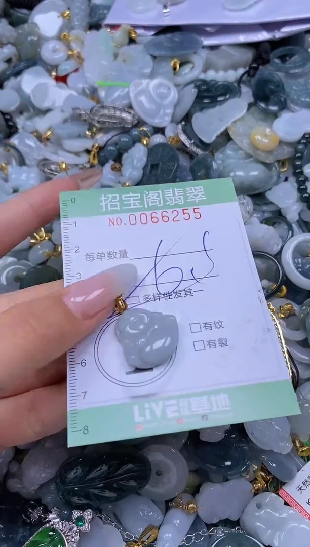 【闪购商品】翡翠颈饰未镶嵌闪购0066255多样性发其一