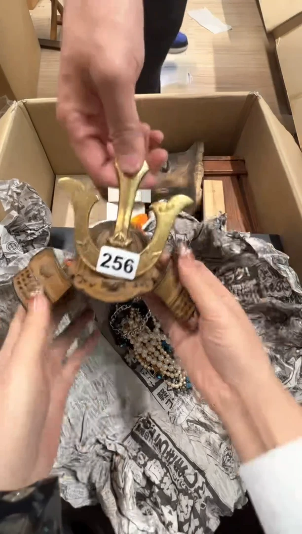 【闪购商品】瓷片256中古商品谨慎参拍