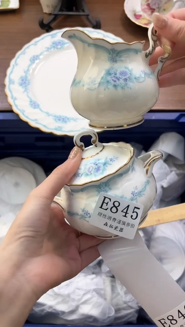 【闪购商品】瓷片----------E845