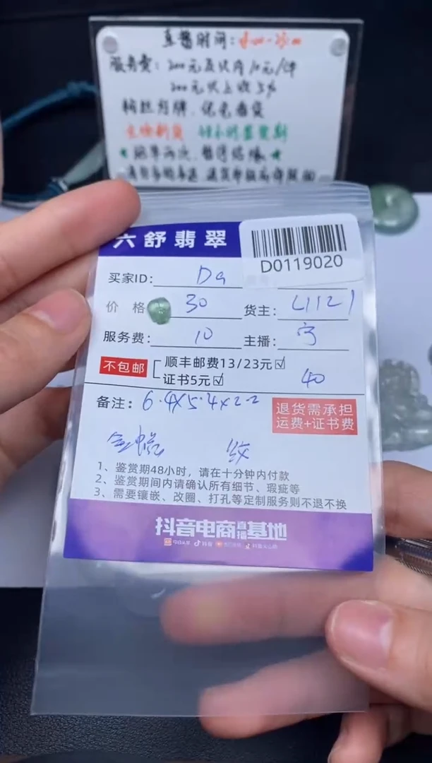 【闪购商品】翡翠吊坠(不含链)未镶嵌D0119020