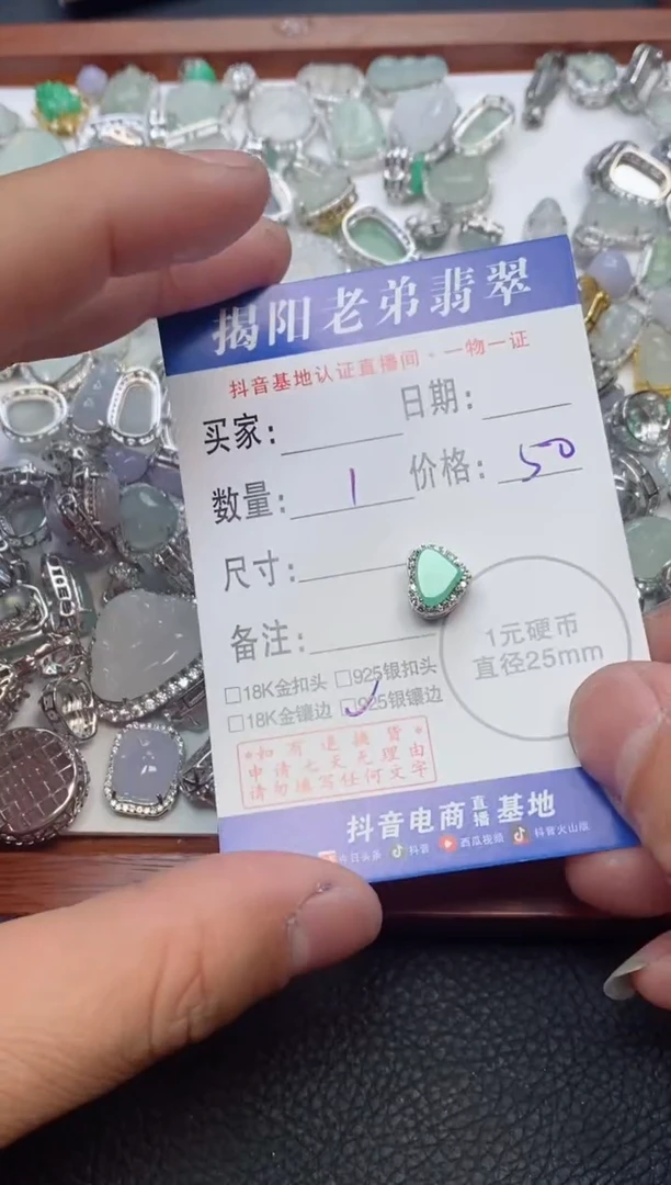 【闪购商品】翡翠颈饰银S925镶嵌多样性发其中一件