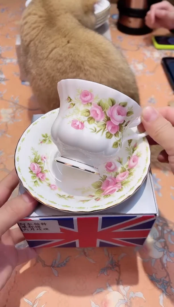 【闪购商品】瓷片927***********6