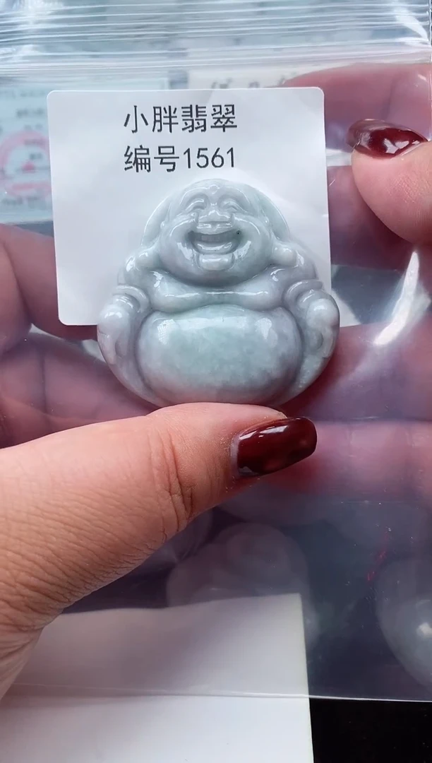 颈饰未镶嵌翡翠缅甸天然A货翡翠1561